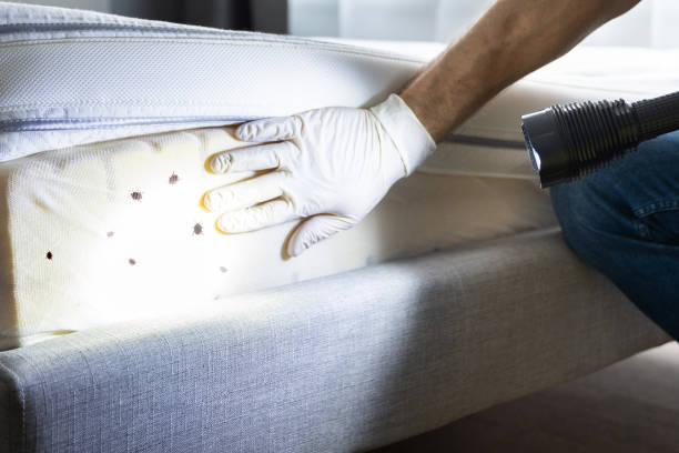 Best Wildlife Control Services  in Apex, NC